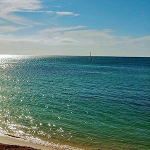 Meet your Posher, Wilma